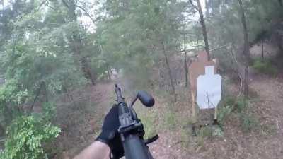 My AR never shot a tree down. (AES10B)