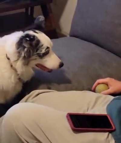 He'll throw the ball soon...