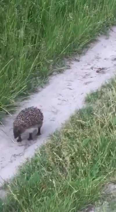 ÐÐ¾Ð»ÑÐº Ð¸ ÑÐ¶