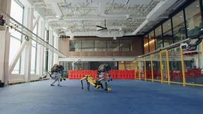 WAP syncs perfectly with those dancing robots