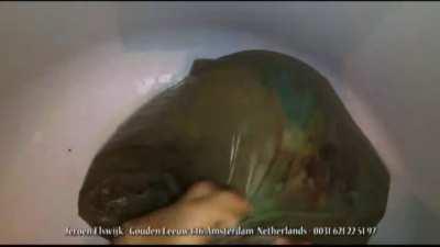 I’ve been looking for this video for months and I finally found it