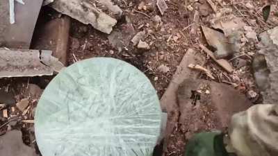 Ukrainian national police brigade 