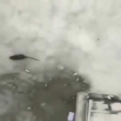 welcome back to watch mojo, today we are going over the top 10 saddest anime deaths.