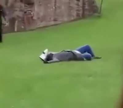 Немного жесткой милоты с рыцарских баталий