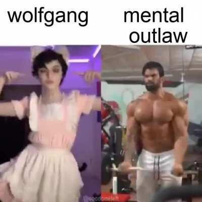 two types of gentoo users