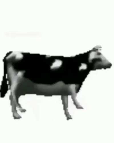 Hoy es el gran día 😭🙏