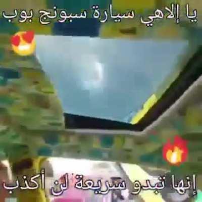 Holy carpet!!!!!!!!!!!