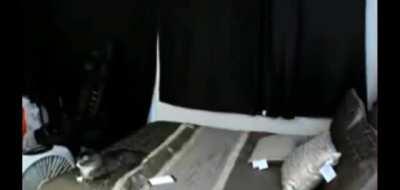 Me when I see a small child (Fed in disguise)