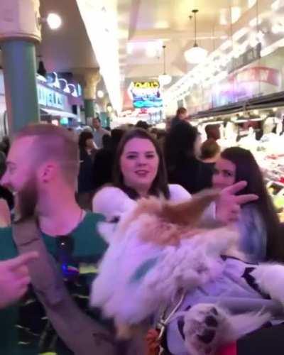 Good girl loves to go on the train
