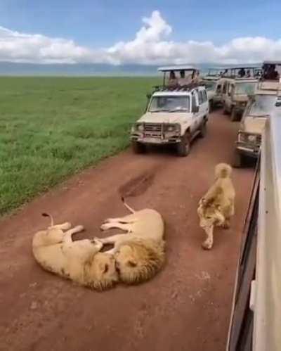 It's ok, guys.. we'll wait