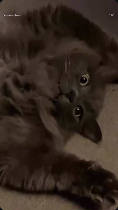 Ghost caught on camera