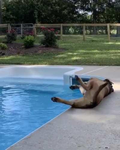 A lesson was learned here