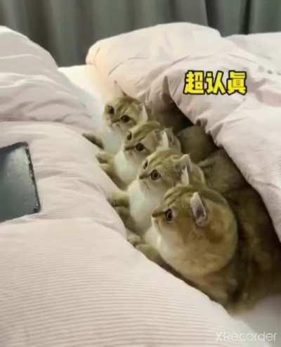 getting ready for bed