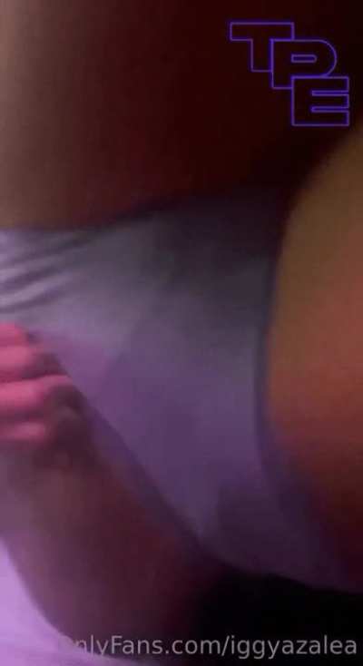 Iggy got a phat 😺