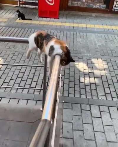 Catorail has broken down