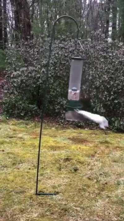 Me trying my best - The life (Invest now!✨)