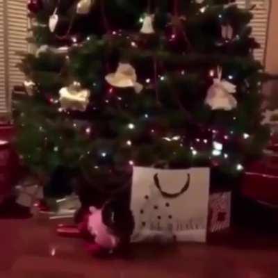 Merry Christmas guys