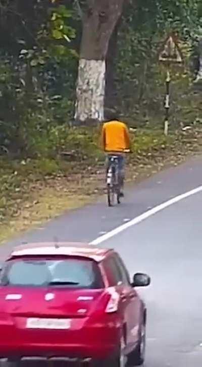 Fuck this cyclist in Particular!