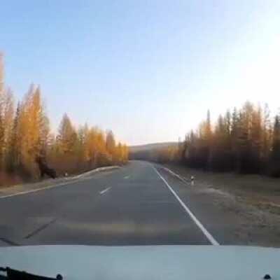 His balls might have a bit of road rash, but at least he's still alive.