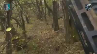 Ukrainian SOF unit of the 73rd Naval Center attacked Russian positions behind the contact line and took out enemy infantry. Kursk region. November 2024.