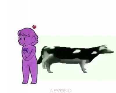 Why do Guys Only Like Polish Cows?