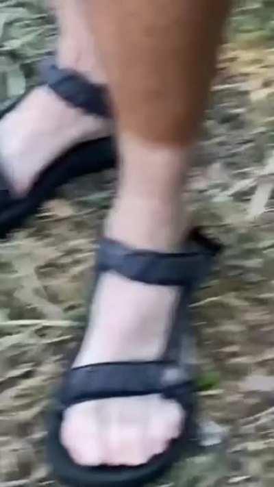 Deutsche Edelbräune