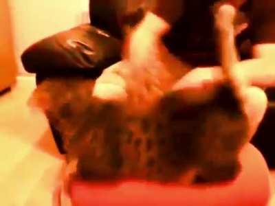 Sisypus (I made this stupid meme)