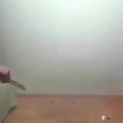 What the actual fuck