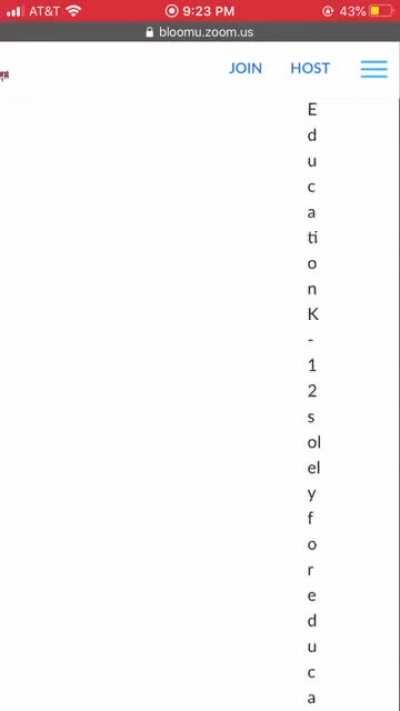 These are the terms and service conditions I’m supposed to read even though the words are spelled letter by letter vertically