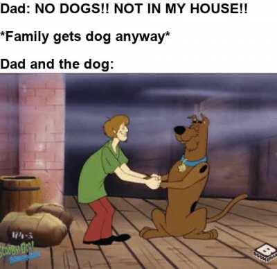 Want a scooby snack pal?