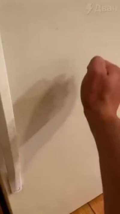 An average slav fridge