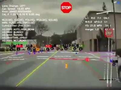 Tesla Autopilot View
