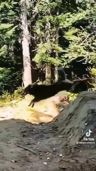 thought he was going down twice