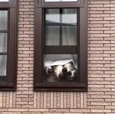 I've got really nosy neighbours!