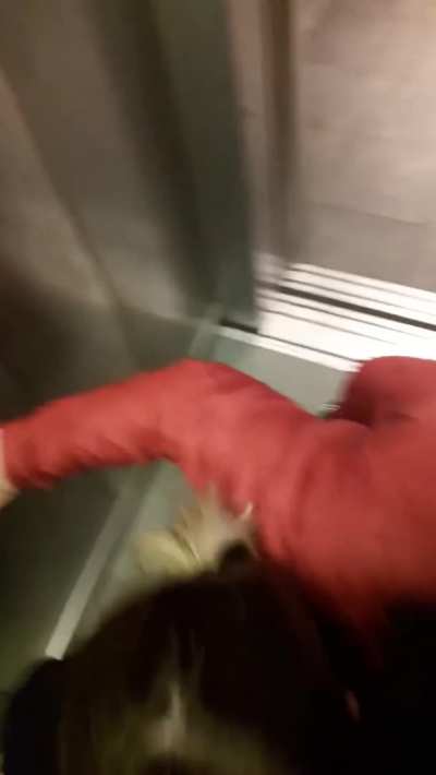 some guys have all the luck