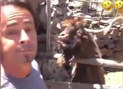 When You Argue The Merits Of Crypto To Someone Who Just Won't Listen...