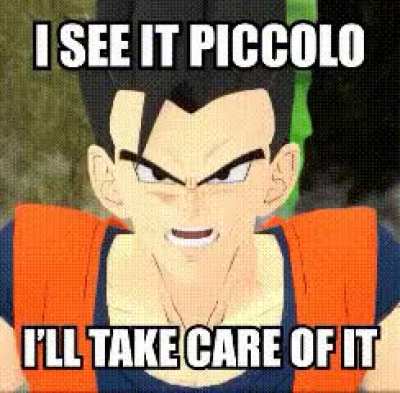 Vegeta do you this shit?