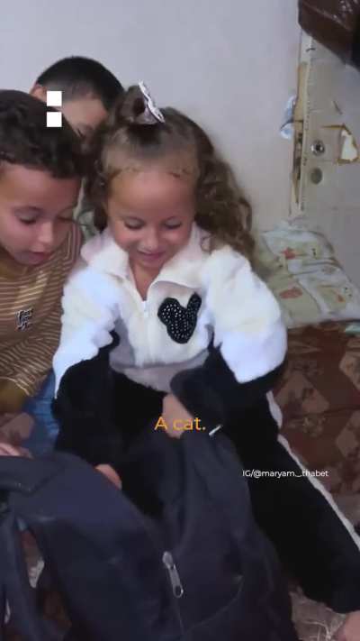 A Palestinian father gifted his daughter a cat on her birthday after she lost most of her pets during the Gaza Genocide