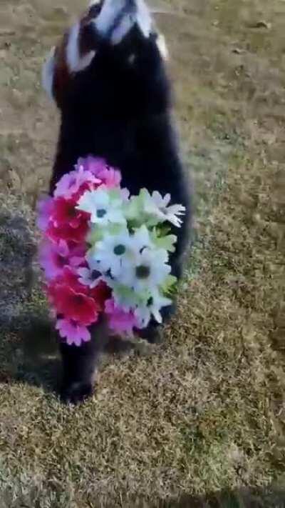 This is the flowergirl we all need at our wedding.