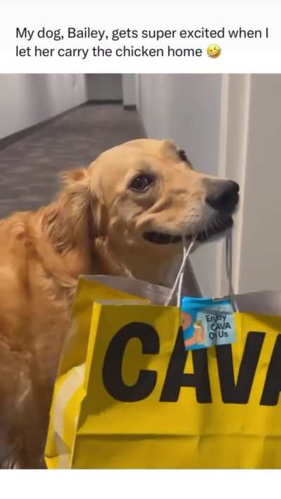 Write down your reviews