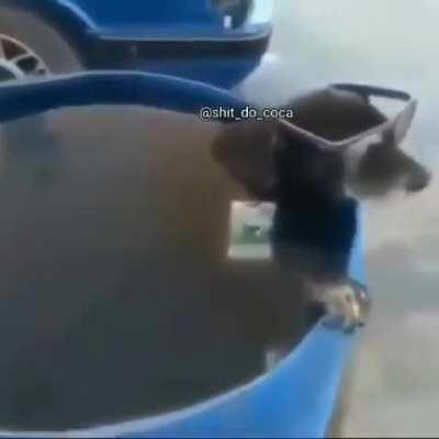 douglas en sua piscina