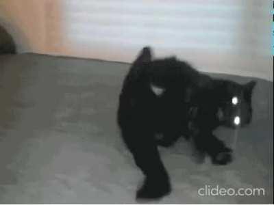 He's definitely tripping