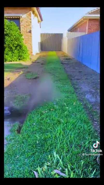 Thank you for curing my OCD