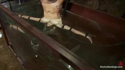 Normal orgasms... fun, but bound, upside down, submerged in water orgasms? Heavenly!!! Scream all you want toy, you just get more amusing by the second