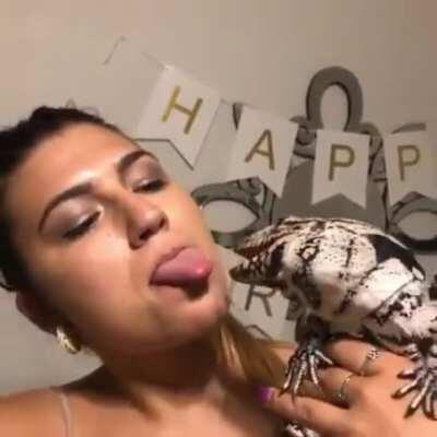 Licking a lizard