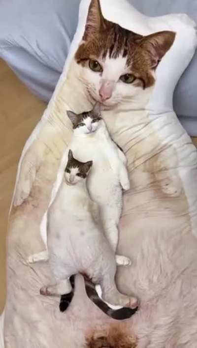 C@ recursion example