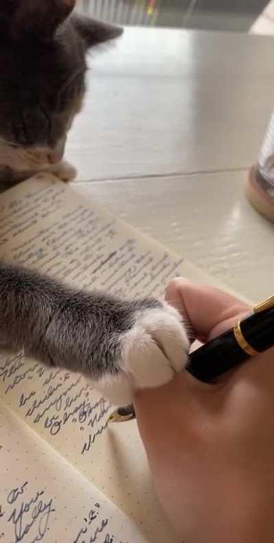 meet my co-writer (filming with my non-dominant hand)