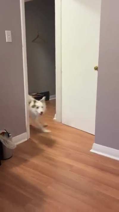 Losing her mind over a chip