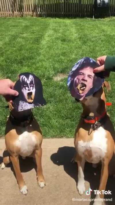 I got that tongue like jagger