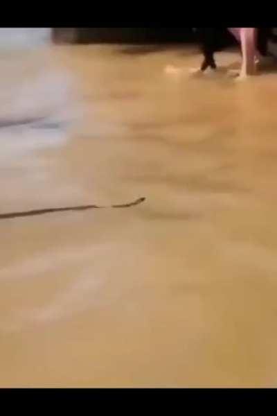 Drunk hero on snek duty